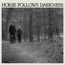 Виниловая пластинка Delia Gonzalez - Horse Follows Darkness