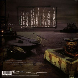 Виниловая пластинка DMX - The Great Depression (2LP)