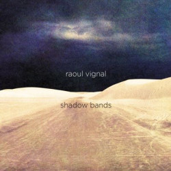 Виниловая пластинка Vignal Raoul - Shadow Bands