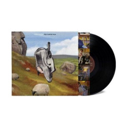 Виниловая пластинка English Teacher - This Could Be Texas: Black Lp