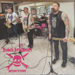 Виниловая пластинка Teenage Bottlerocket - Mission To Shred (Neon Pink Vinyl)
