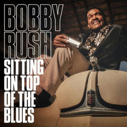 Виниловая пластинка Rush Bobby - Sitting On Top Of The Blues