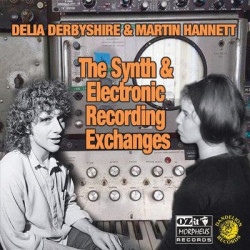 Виниловая пластинка Delia Derbyshire &amp; Martin Hannett - The Synth And Electronic Recording Exchanges