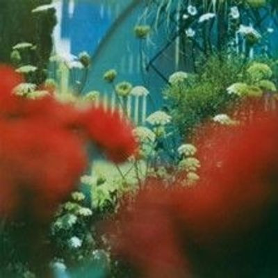 Виниловая пластинка Pulled Apart By Horses - The Haze