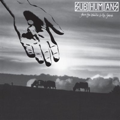Виниловая пластинка Subhumans - From The Cradle To The Grave (Red Vinyl)