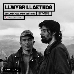 Виниловая пластинка Llwbyr Llaethog - Bbc John Peel Sessions (1987 + 1989)