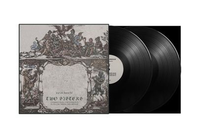 Виниловая пластинка Sarah Davachi - Two Sisters