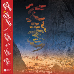 Виниловая пластинка Raimund Wong &amp; Suren Seneviratne - A Record of Living Beings