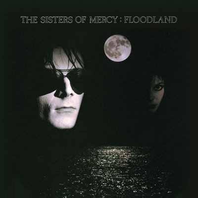 Виниловая пластинка Sisters Of Mercy - Floodland (1LP/180g)