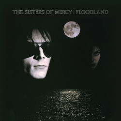 Виниловая пластинка Sisters Of Mercy - Floodland (1LP/180g)