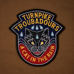 Виниловая пластинка Turnpike Troubadours - A Cat In The Rain
