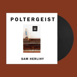 Виниловая пластинка Sam Herlihy - Poltergeist (LP)