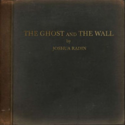 Виниловая пластинка Joshua Radin - The Ghost and the Wall
