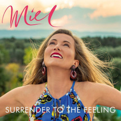 Виниловая пластинка Miel De Botton - Surrender To The Feeling