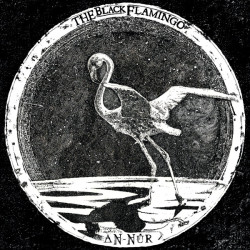 Виниловая пластинка The Black Flamingo - An-Nur