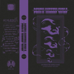 Виниловая пластинка Death Valley Girls - Levitation Sessions (Neon Swirl Coloured Vinyl)