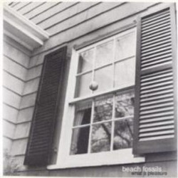 Виниловая пластинка Beach Fossils - What A Pleasure