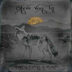 Виниловая пластинка Steve Von Till - Alone In A World Of Wounds