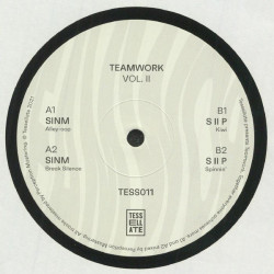 Виниловая пластинка SINM &amp; S II P - Teamwork, Vol. II