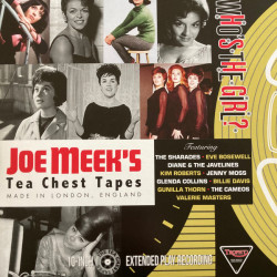 Виниловая пластинка Various Artists - Who's the Girl? Joe Meek's Tea Chest Tapes
