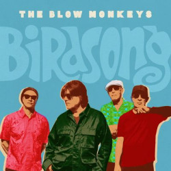 Виниловая пластинка The Blow Monkeys - Birdsong