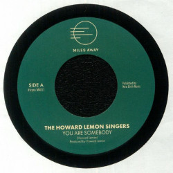 Виниловая пластинка The Howard Lemon Singers - You Are Somebody / For The Children