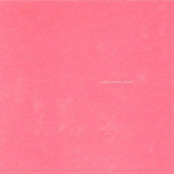Виниловая пластинка SunnyDayRealEstate - Lp2