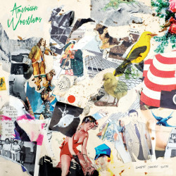 Виниловая пластинка American Wrestlers - Goodbye Terrible Youth