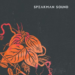 Виниловая пластинка Speakman Sound - Warm / In Flight