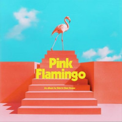 Виниловая пластинка Kids In Glass Houses - Pink Flamingo
