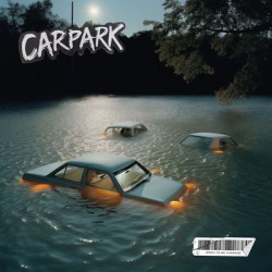 Carpark - Born To Be Average (LP)