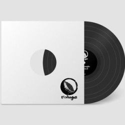 Виниловая пластинка Various Artists - Foliage Records Vinyl Sampler