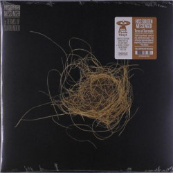 Виниловая пластинка Hiss Golden Messenger - Terms Of Surrender (Coloured Vinyl)