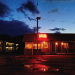 Виниловая пластинка Demuth Diana - Misadventure
