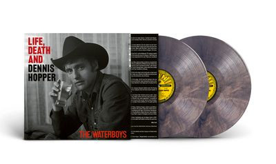 Виниловая пластинка The Waterboys - Life, Death, & Dennis Hopper (синий мраморный винил)