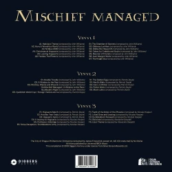 Виниловая пластинка Harry Potter (3LP) цветной винил