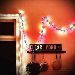 Виниловая пластинка Kristin Hersh - Clear Pond Road