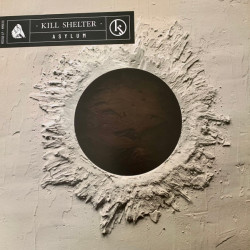 Виниловая пластинка Kill Shelter - Asylum