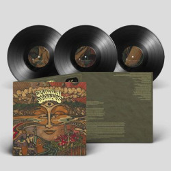 Виниловая пластинка Spiritual Beggars - Spiritual Beggars