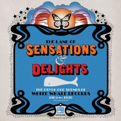 Виниловая пластинка Various - Land Of Sensations &amp; Delights