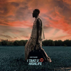 Виниловая пластинка Kay Slice - Take U Highlife (LP)