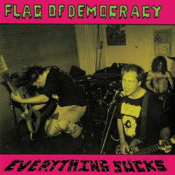 Виниловая пластинка Flag Of Democracy (Fod) - Everything Sucks