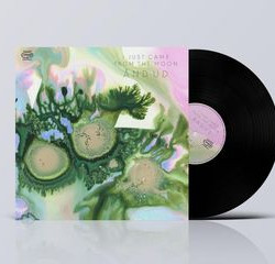 Виниловая пластинка I Just Came From The Moon - And Ud