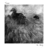 Виниловая пластинка Timber - Family The