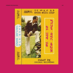 Виниловая пластинка Hailu Mergia &amp; The Walias - Wede Harer Guzo
