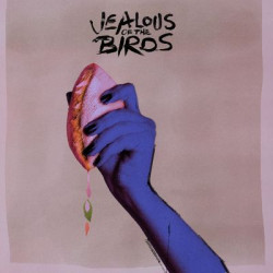 Виниловая пластинка Jealous Of The Birds - Moths Of What I Want Will Eat