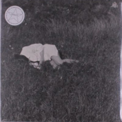 Виниловая пластинка Nina Winder - Lind-Wild Love (LP)
