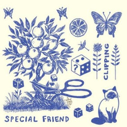 Виниловая пластинка Special Friend - Clipping