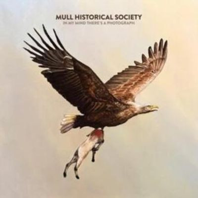 Виниловая пластинка Mull Historical Society - In My Mind There's A Photograph