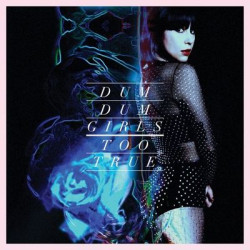 Виниловая пластинка DumDumGirls - TooTrue
